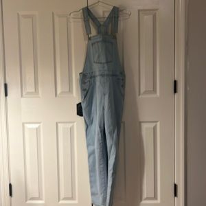 Bib overalls (no designer tag, bought from Amazon). Size LRG. Gently used.